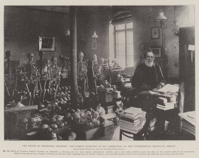 La morte del professor Virchow, il famoso scienziato nel suo laboratorio all