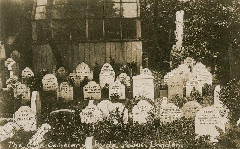 Il cimitero dei cani, Hyde Park, Londra da English Photographer