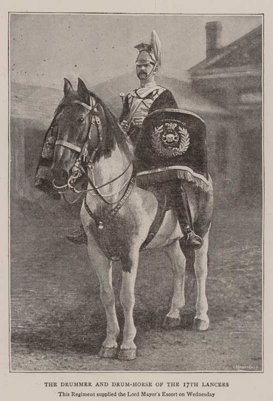Il tamburino e il cavallo tamburino dei 17th Lancers da English Photographer