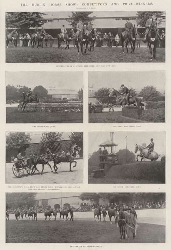 La fiera del cavallo di Dublino, concorrenti e vincitori da English Photographer