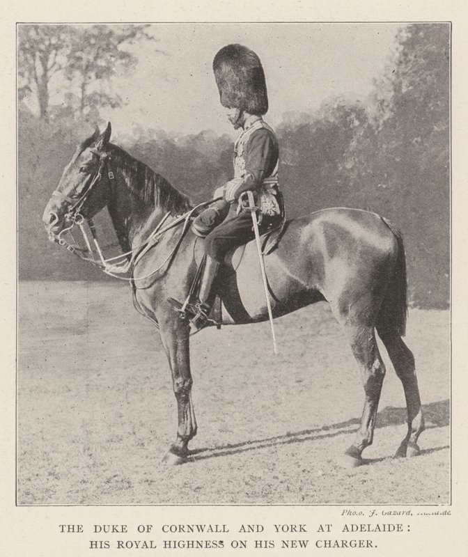 Il Duca di Cornovaglia e York ad Adelaide, Sua Altezza Reale sul suo nuovo cavallo da English Photographer