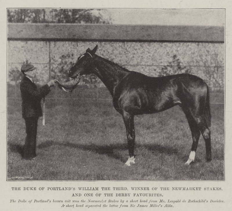 Il William the Third del Duca di Portland, vincitore delle Newmarket Stakes e uno dei favoriti del Derby da English Photographer