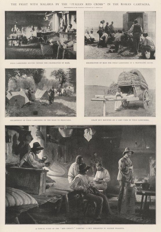 La lotta contro la malaria della Croce Rossa Italiana nella campagna romana da English Photographer