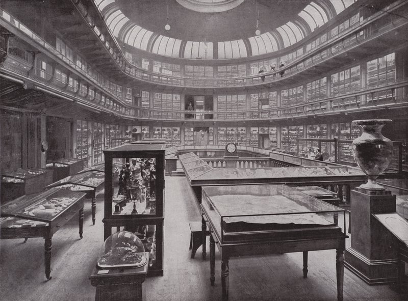 Il Museo Geologico, Piccadilly da English Photographer