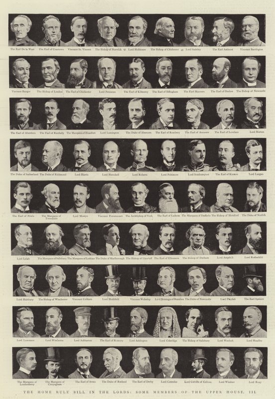 Il disegno di legge sull
