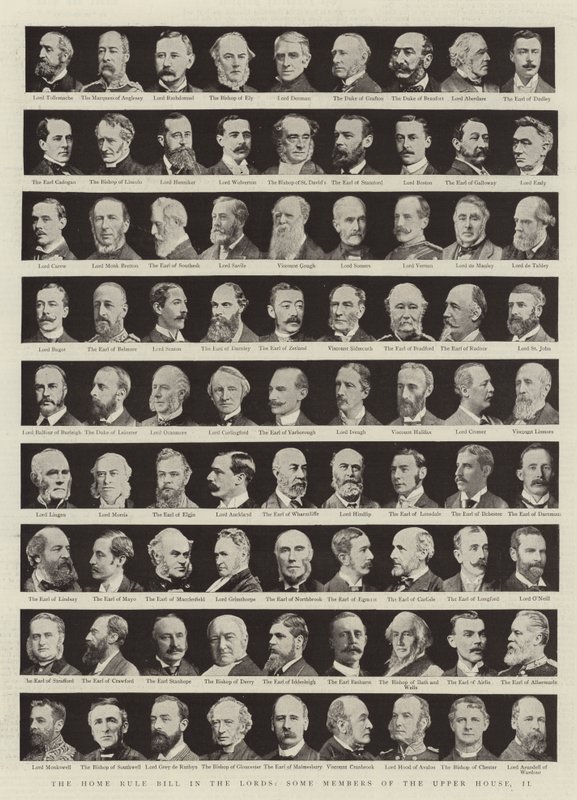 Il disegno di legge sull