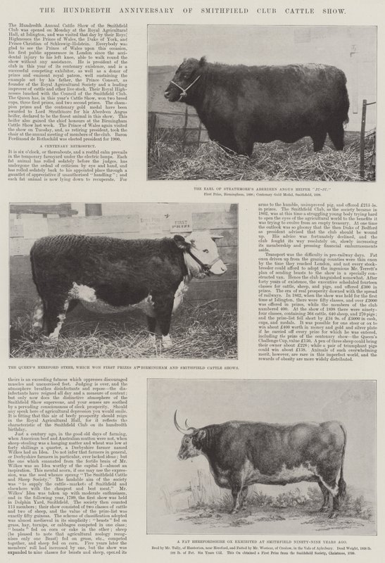 Il centenario della mostra di bestiame del Smithfield Club da English Photographer
