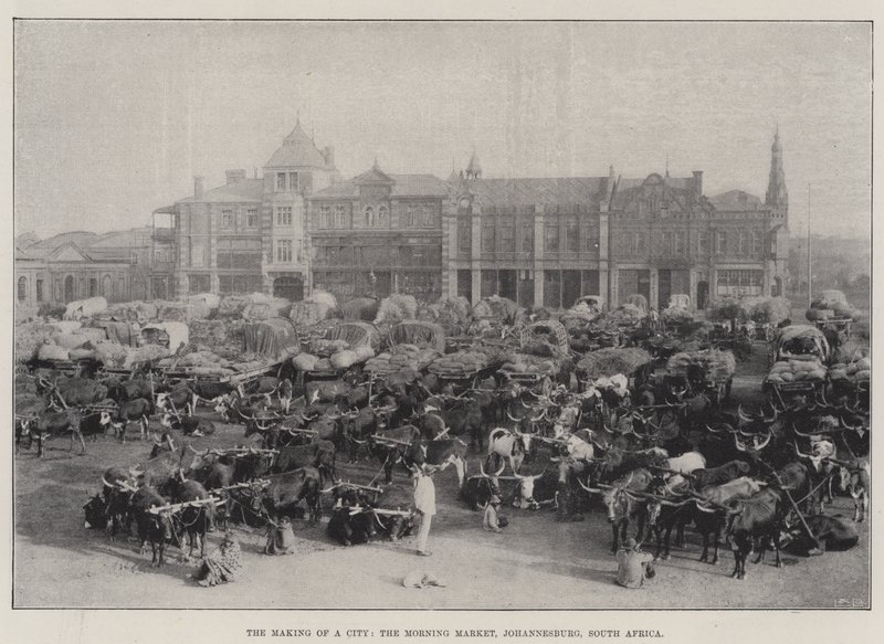 La Creazione di una Città, il Mercato del Mattino, Johannesburg, Sudafrica da English Photographer