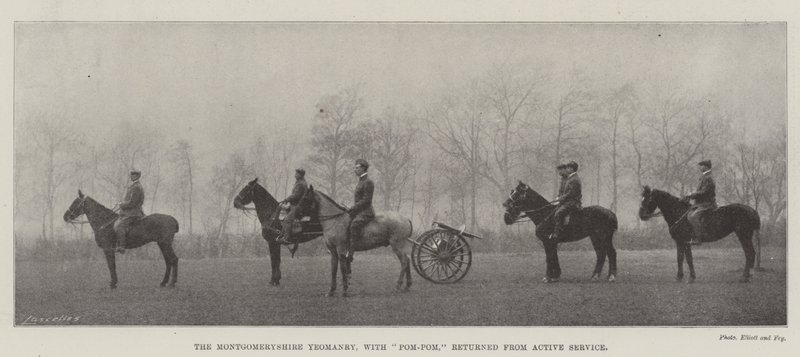 La Yeomanry di Montgomeryshire, con Pom-Pom, tornata dal servizio attivo da English Photographer