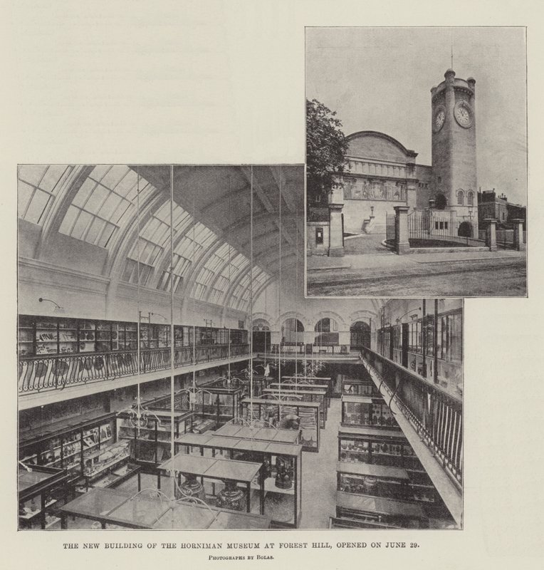 Il Nuovo Edificio del Museo Horniman a Forest Hill, inaugurato il 29 giugno da English Photographer
