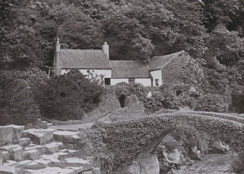 Il Vecchio Mulino, Jesmond Dene da English Photographer