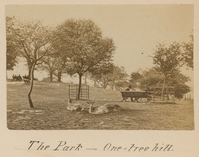 Il Parco - One Tree Hill, Greenwich da English Photographer