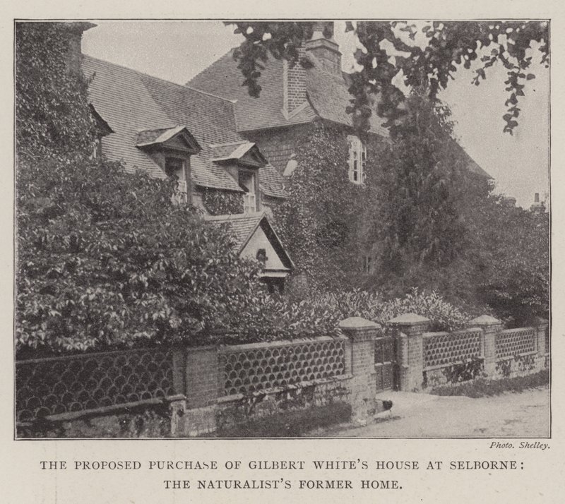La proposta di acquisto della casa di Gilbert White a Selborne, l