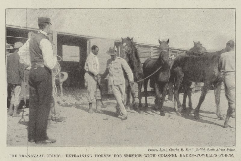 La crisi del Transvaal, scarico dei cavalli per il servizio con la forza del colonnello Baden-Powell da English Photographer