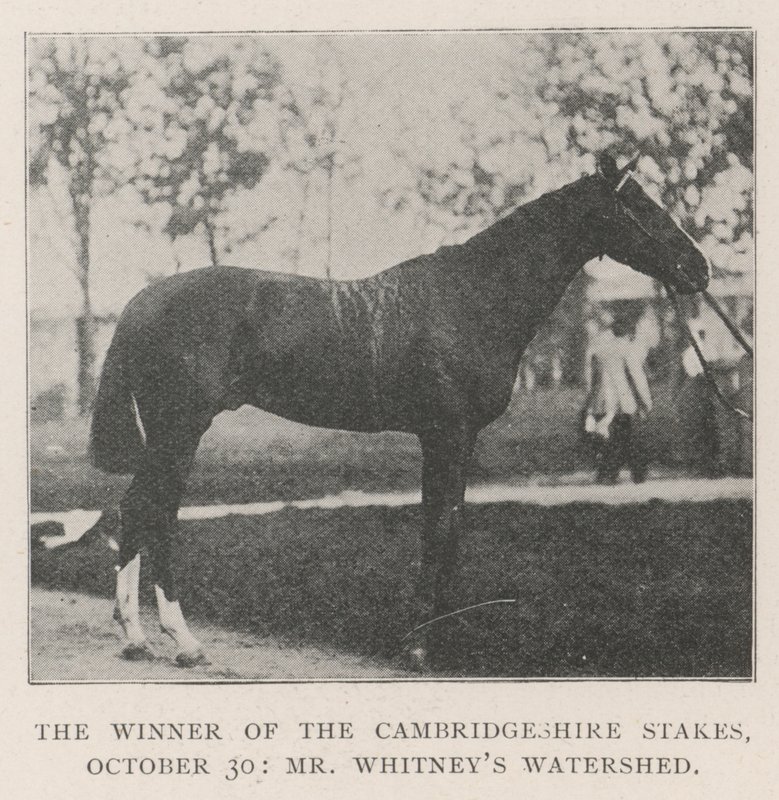 Il vincitore delle Cambridgeshire Stakes, 30 ottobre, Watershed di Mr Whitney da English Photographer