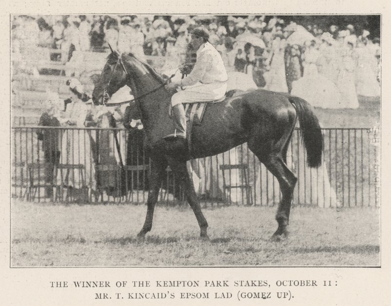 Il vincitore delle Kempton Park Stakes, 11 ottobre, Epsom Lad di Mr T Kincaid (Gomez in sella) da English Photographer