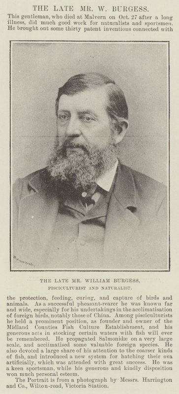 Il defunto Sig. William Burgess, Piscicultore e Naturalista da English Photographer