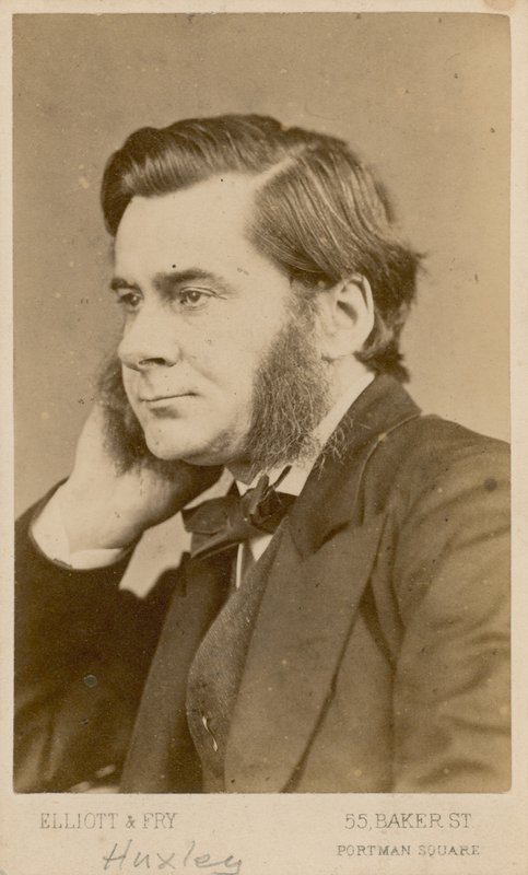 Thomas Henry Huxley da English Photographer