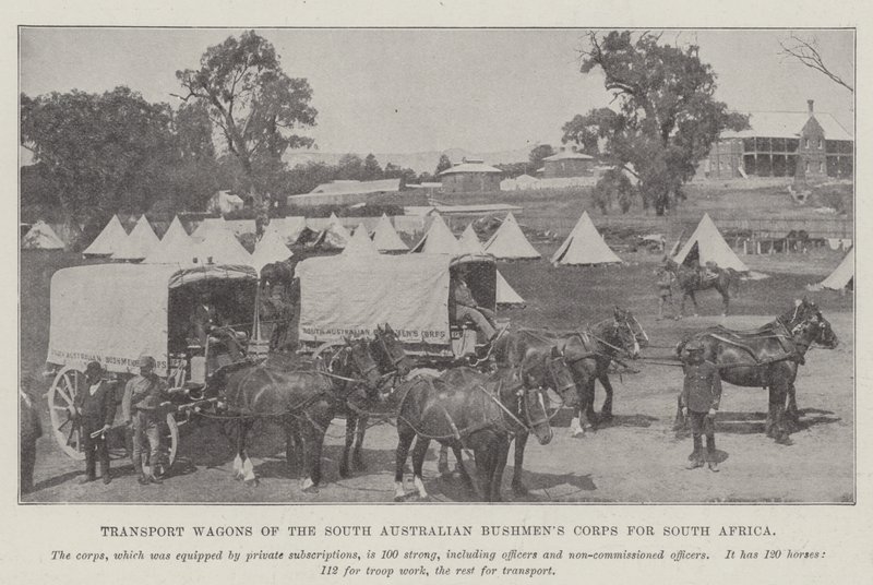 Carri di trasporto del South Australian Bushmens Corps per il Sudafrica da English Photographer