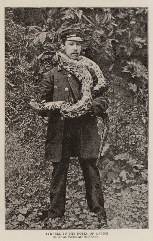 Tyrrell nei suoi abiti d