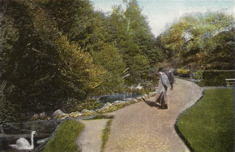 Vista nel Parco di Ventnor da English Photographer