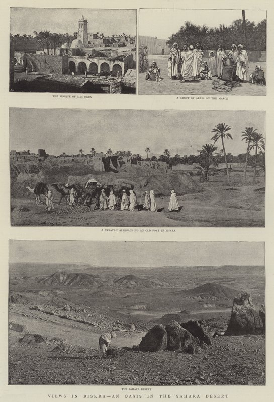 Vedute di Biskra, un