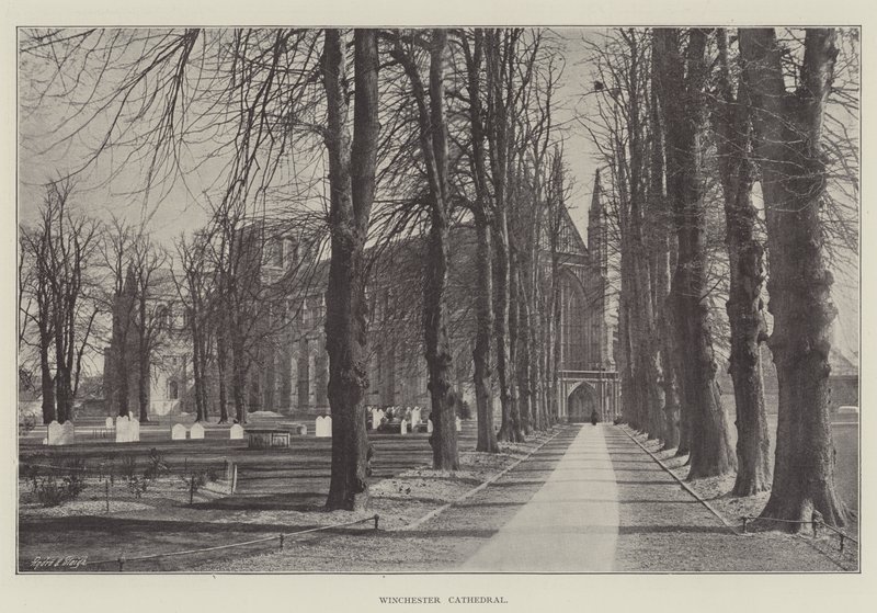 Cattedrale di Winchester da English Photographer