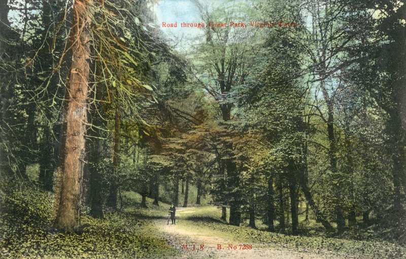 Windsor Great Park, Virginia Water da English Photographer