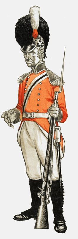 92nd. Hon. Artillery Co. Infantry Div. Private 1803 da English School