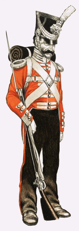 96° Fanteria Privato 1836 da English School