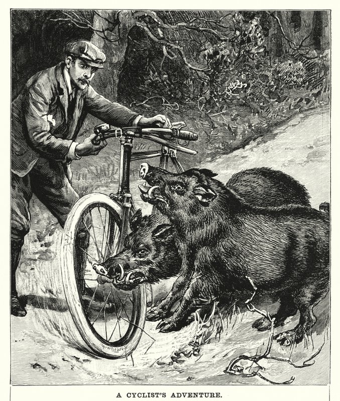Avventura di un Ciclista (incisione) da English School