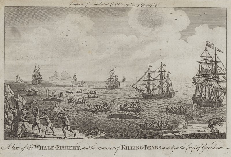 Veduta della pesca alla balena e del modo di uccidere gli orsi vicino e sulla costa della Groenlandia da English School