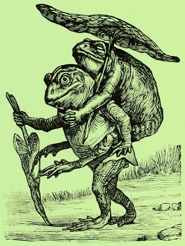 Un marito gentile, illustrazione da Coles Funny Picture Book da English School