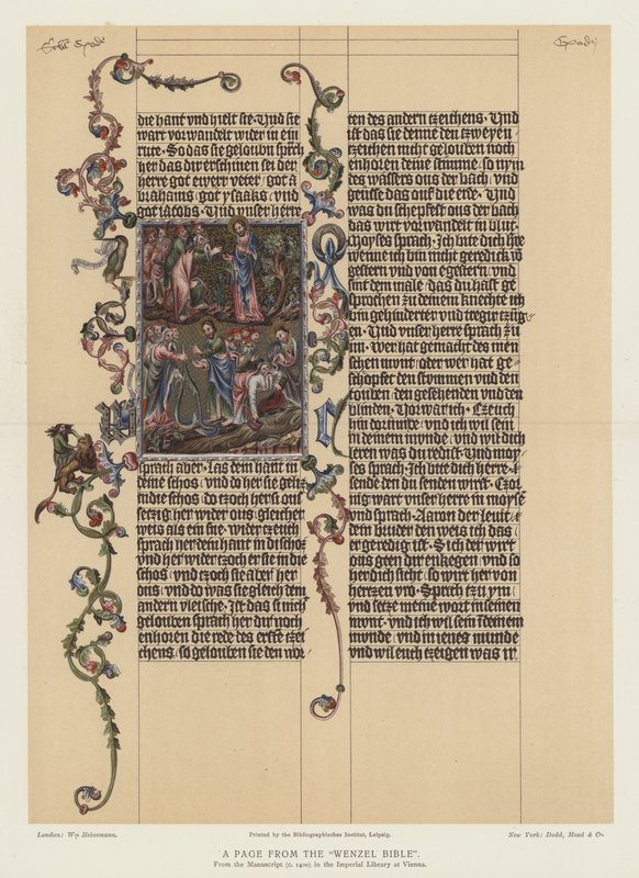 Una pagina dalla Bibbia di Wenzel (litografia a colori) da English School
