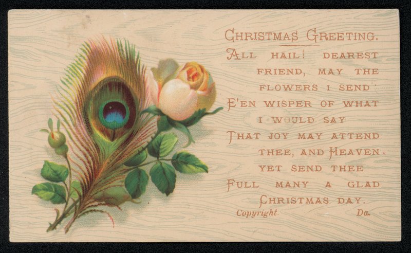 Una piuma di pavone e una rosa, biglietto di auguri di Natale da English School