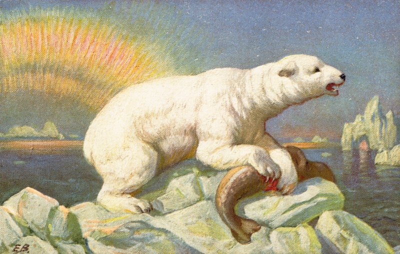 Un orso polare sopra il corpo di un pesce su una roccia da English School