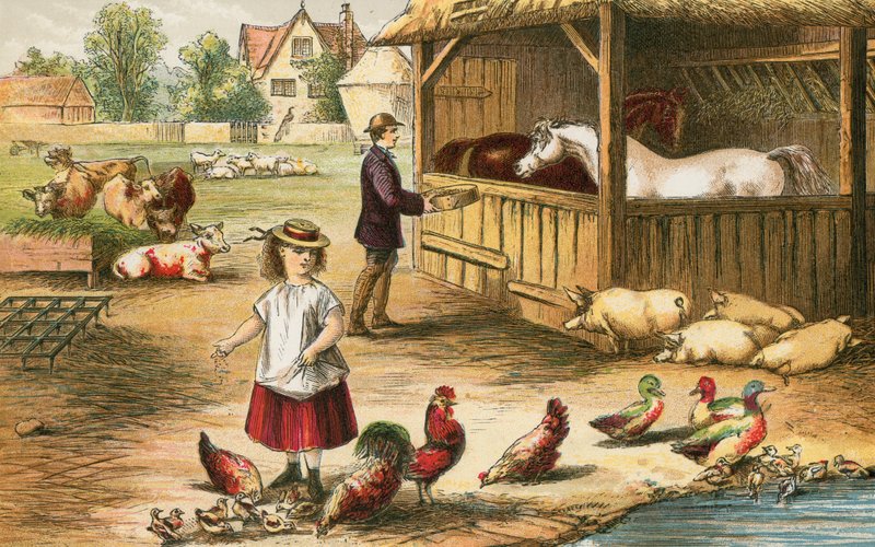 Un uomo giusto si prende cura della vita del suo animale da English School