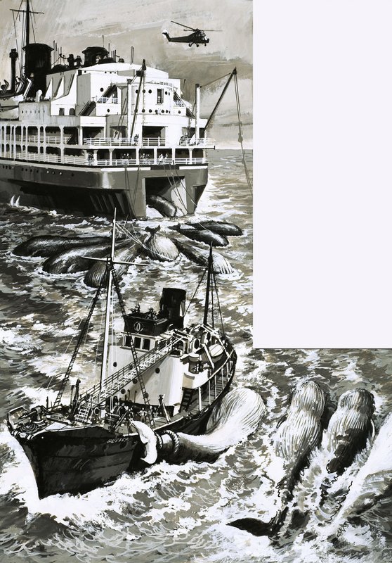 Una nave fabbrica per la caccia alle balene da English School