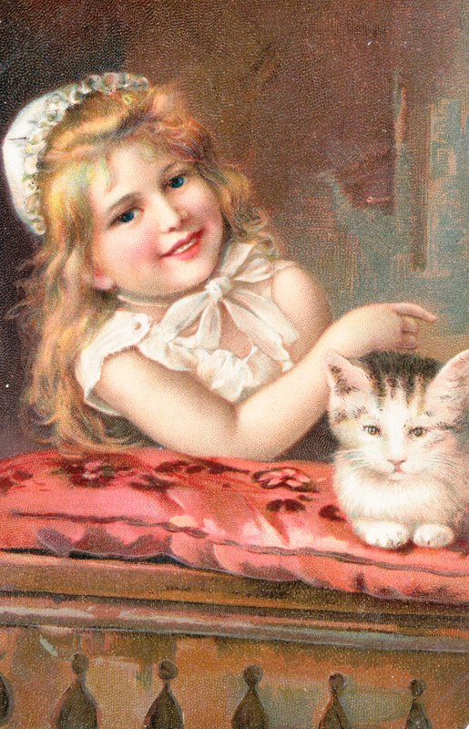Una giovane ragazza che posa con un gatto da English School