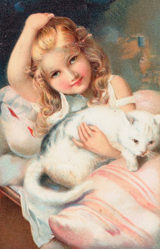 Una giovane ragazza che posa con un gatto da English School