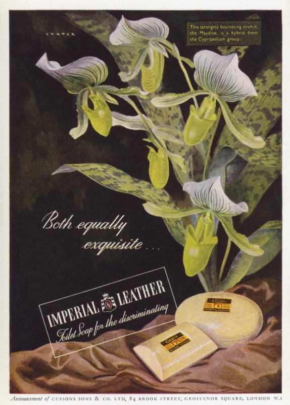 Pubblicità per il sapone Cussons Imperial Leather da English School