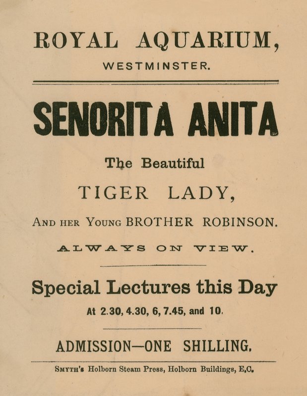Pubblicità per Senorita Anita da English School