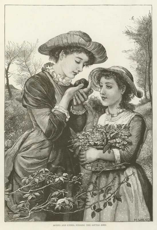 Agnes ed Ethel che trovano il piccolo uccello da English School