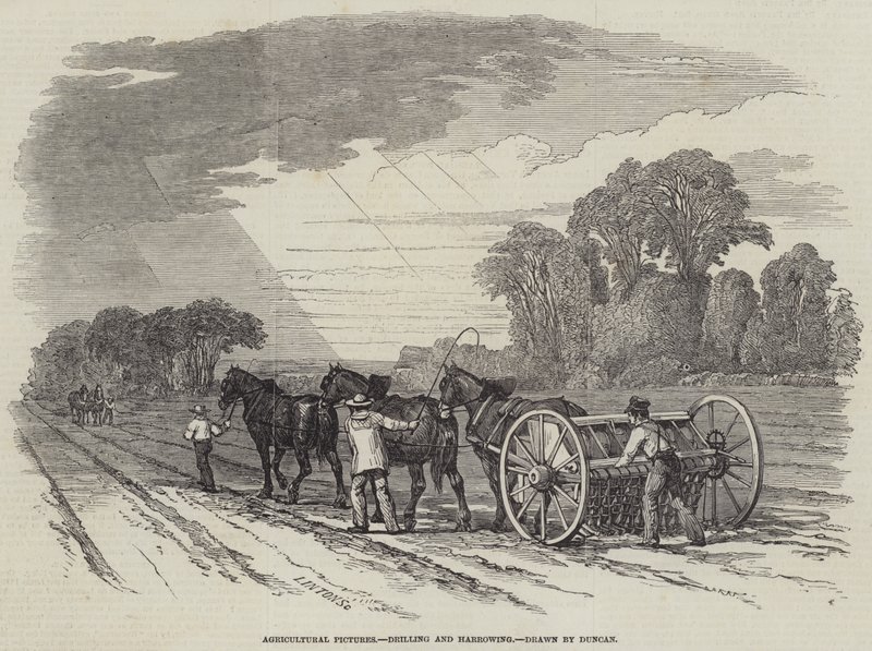 Quadri Agricoli, Semina e Erpicatura da English School