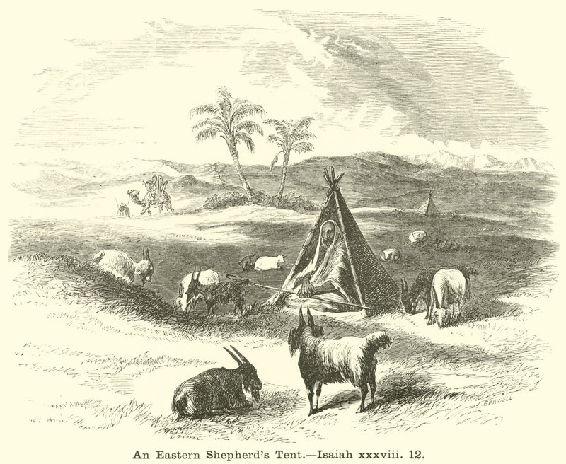 Tenda di pastori orientali, Isaia, xxxviii, 12 da English School