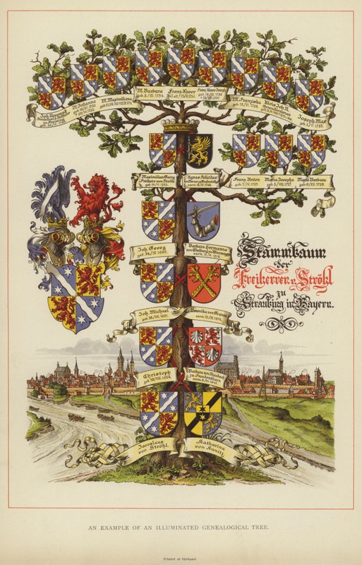 Esempio di un albero genealogico illuminato da English School