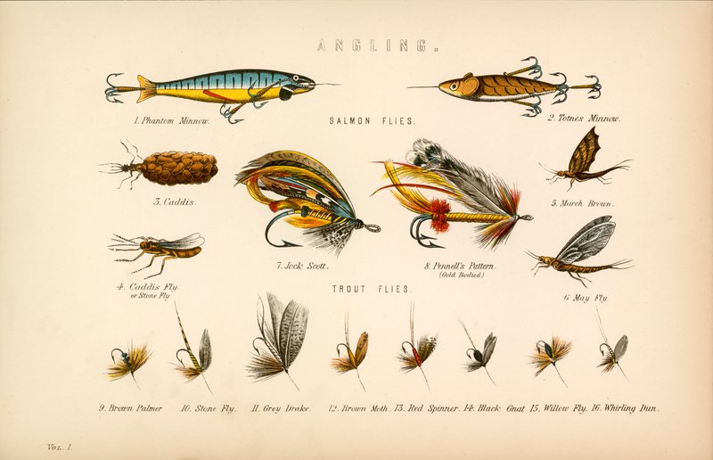 Pesca da English School