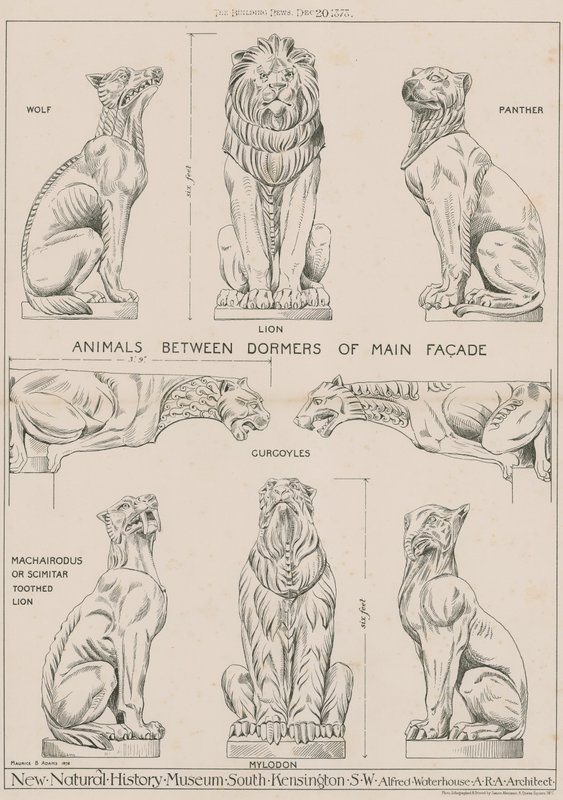 Animali tra i dormitori della facciata principale del nuovo Museo di Storia Naturale, South Kensington da English School