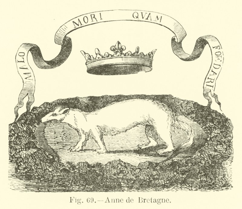 Anna di Bretagna da English School