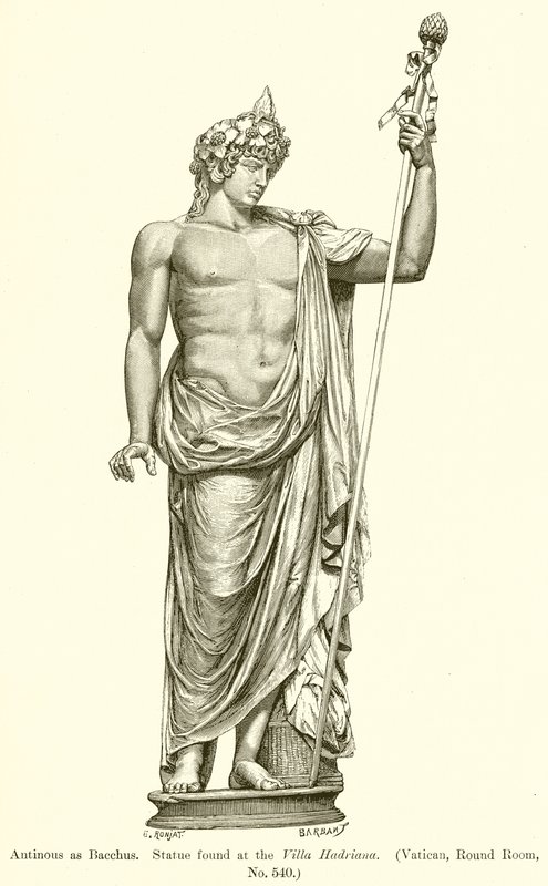Antinoo come Bacco. Statua trovata alla Villa Adriana (Vaticano, Sala Rotonda, n. 540) da English School